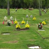 Más información de Flores para Tumbas Cementerios