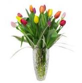 Más información de Florero de 15 Tulipanes PREMIUM
