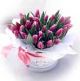Más información de Box de Tulipanes Morados x20