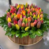 Más información de Festival de Tulipanes