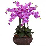 Más información de Decorativo Orquídeas Premium II