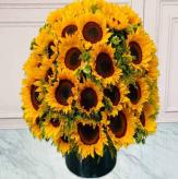 More information about Girasoles Feelings