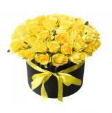 Más información de Box de Rosas Premium Amarillas x50