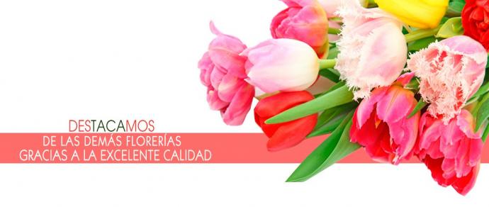 Florerias Peru | Flores Peru | Arreglos Florales - Los Claveles